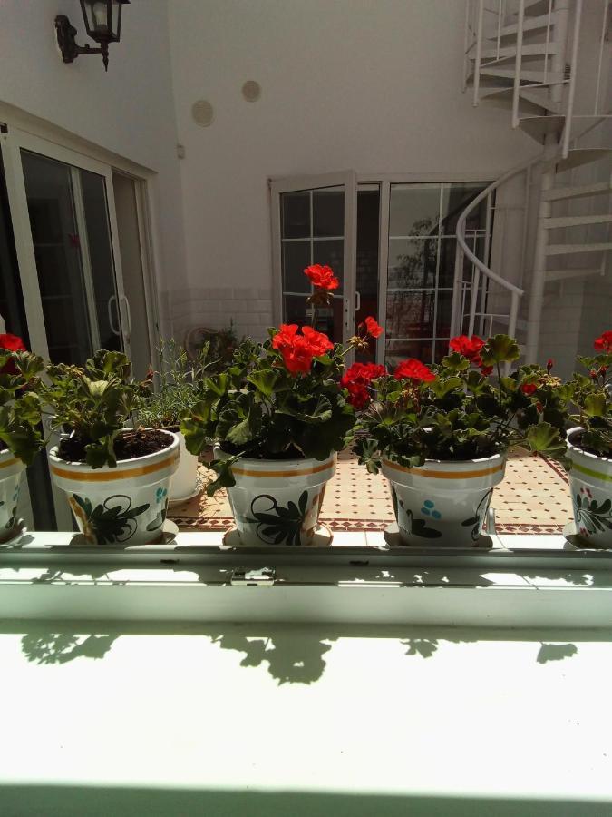 Casa Alba 1 Daire Puerto del Rosario  Dış mekan fotoğraf