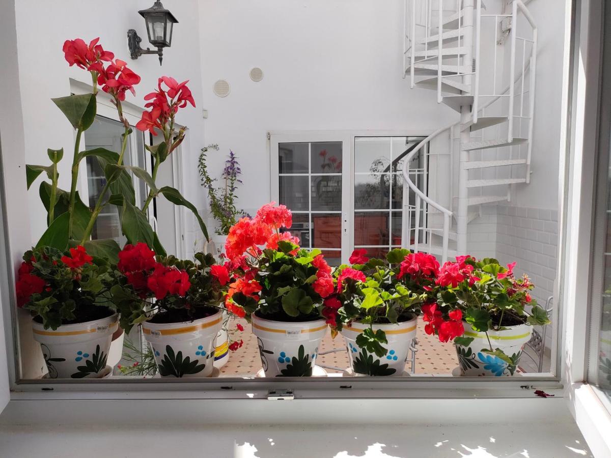 Casa Alba 1 Daire Puerto del Rosario  Dış mekan fotoğraf